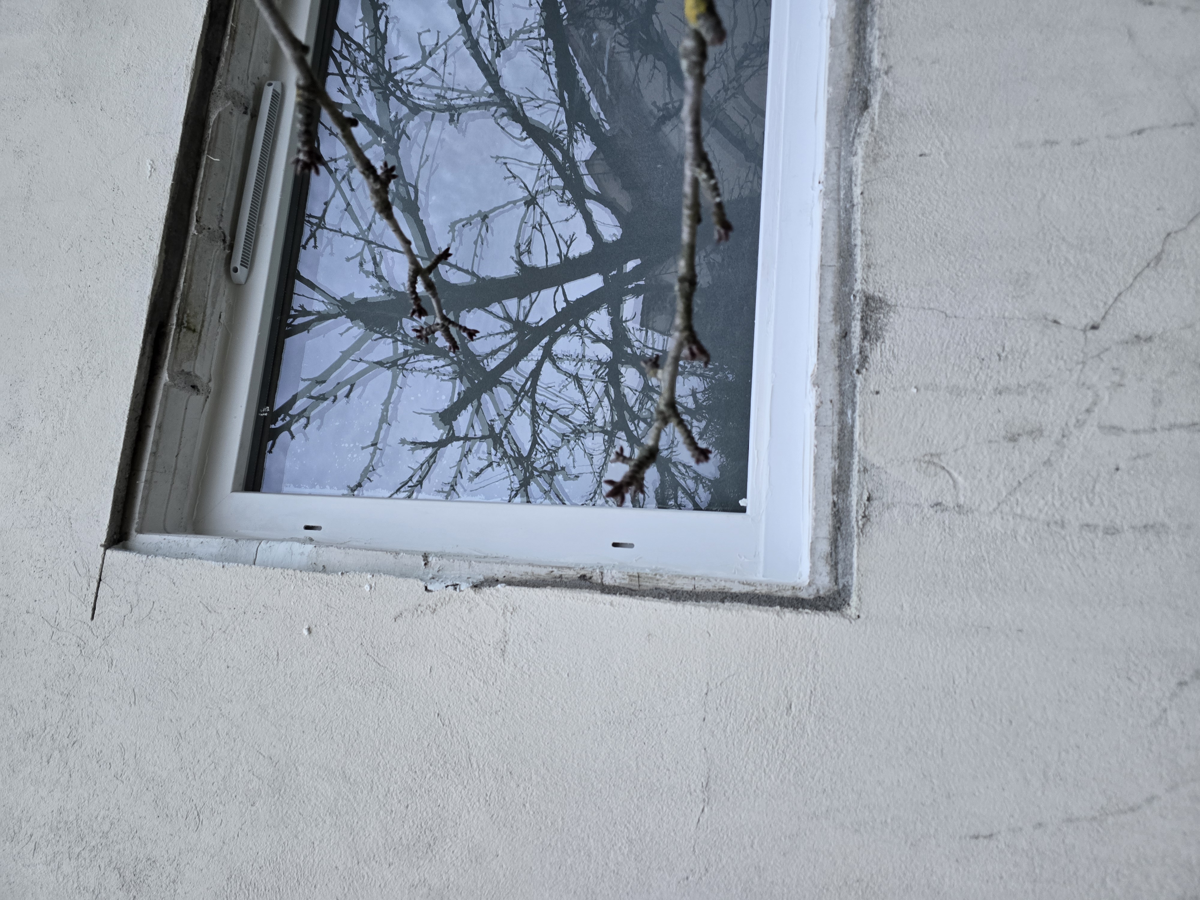 Menuiseries et tableau électrique — Colombes (4)